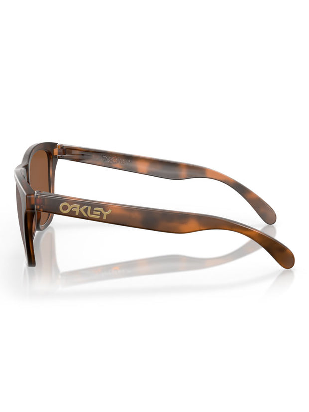 Oakley Frogskins Sunglasses