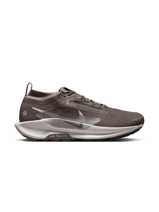Nike Pegasus Trail 5 GORE-TEX Men's Shoes