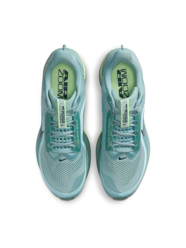 Nike Pegasus Premium Men's Shoes