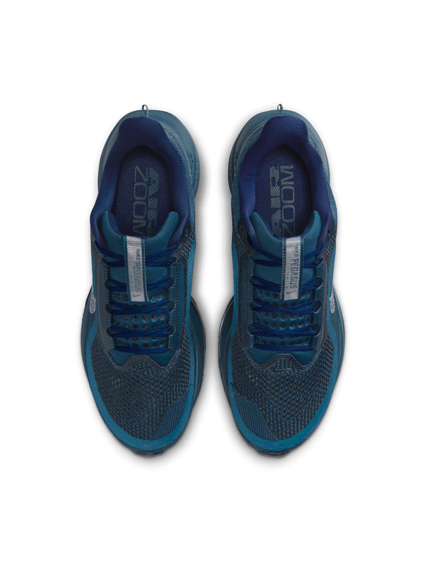 Nike Pegasus Premium Women's Shoes