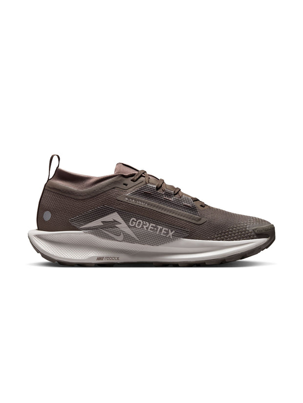 Nike Pegasus Trail 5 GORE-TEX Men's Shoes