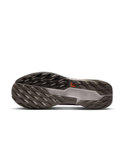 Nike Pegasus Trail 5 GORE-TEX Men's Shoes