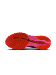 Nike Pegasus Premium Women's Shoes