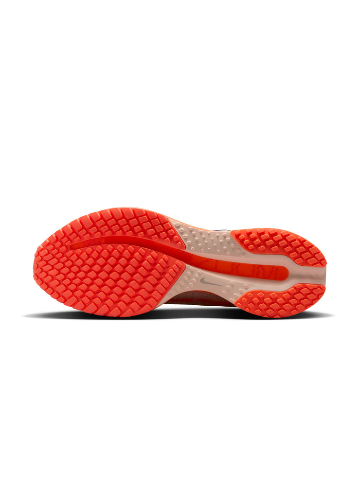 Nike Pegasus Premium Men's Shoes