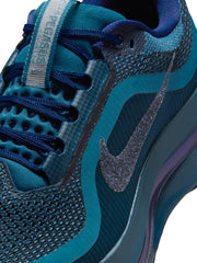 Nike Pegasus Premium Women's Shoes