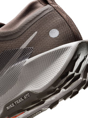 Nike Pegasus Trail 5 GORE-TEX Men's Shoes