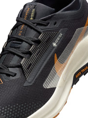 Nike Pegasus Trail 5 GORE-TEX Men's Shoes