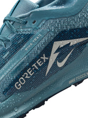 Nike Pegasus Trail 5 GORE-TEX Men's Shoes