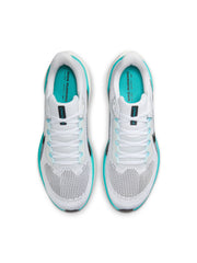 Nike Air Zoom Pegasus 41 Men’s Shoes