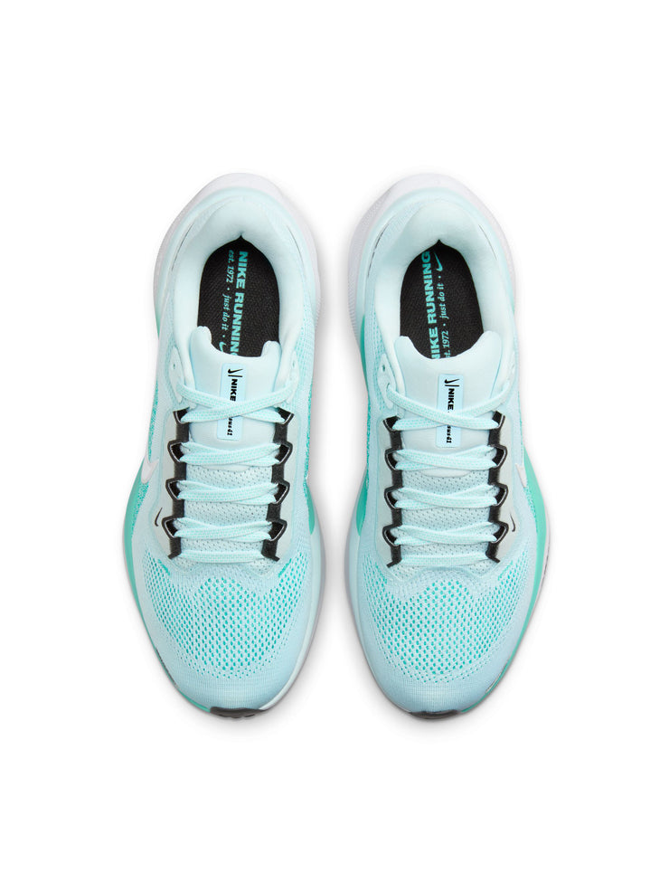 Nike Air Zoom Pegasus 41 Women's Shoes