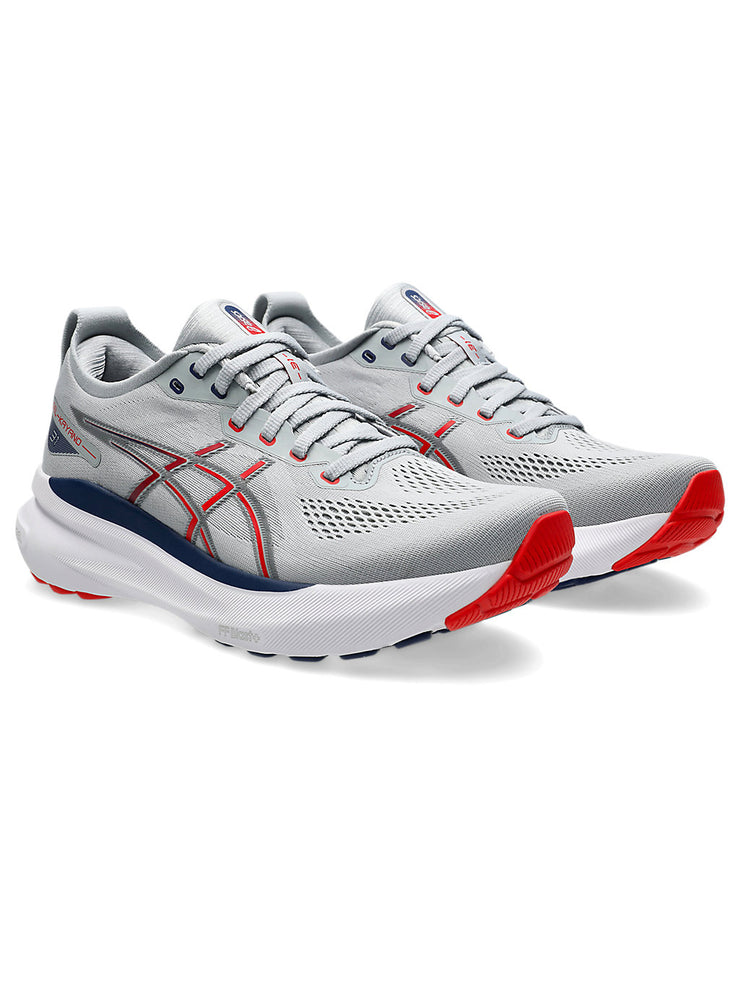 Asics Gel-Kayano 31 Men's Shoes