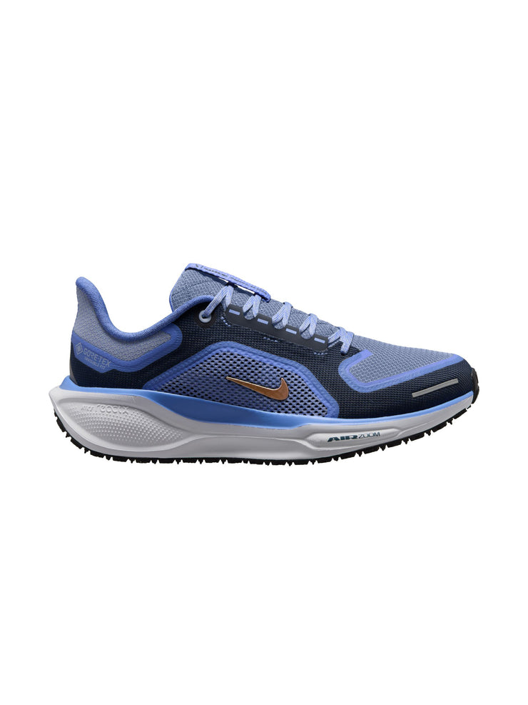 Nike Pegasus 41 GORE-TEX Women's Shoes