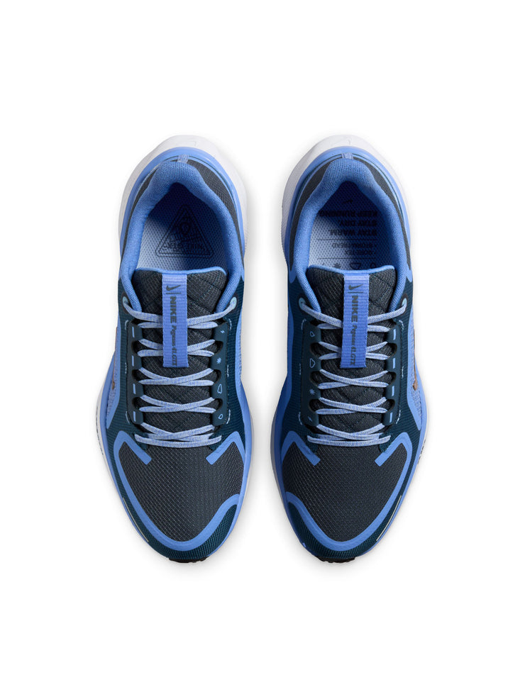 Nike Pegasus 41 GORE-TEX Women's Shoes