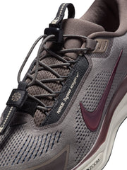 Nike Pegasus EasyOn Men’s Shoes