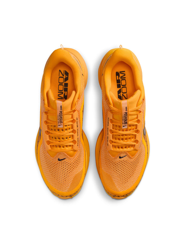 Nike Pegasus Premium Men's Shoes