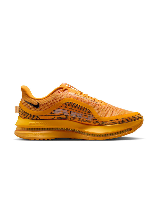 Nike Pegasus Premium Men's Shoes