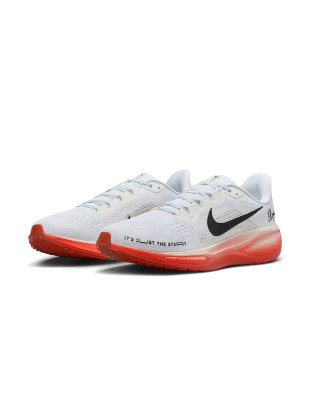 Nike Air Zoom Pegasus 41 EK Men’s Shoes