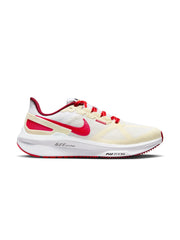 Nike Air Zoom Structure 25 Men's Shoes