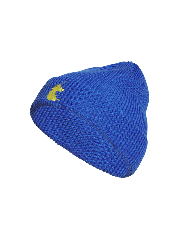 Adidas Boston Marathon® BAA Standard Fold 2.0 Beanie