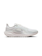 Nike Pegasus 41 GORE-TEX Men's Shoes