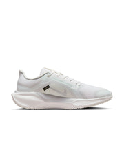 Nike Pegasus 41 GORE-TEX Men's Shoes