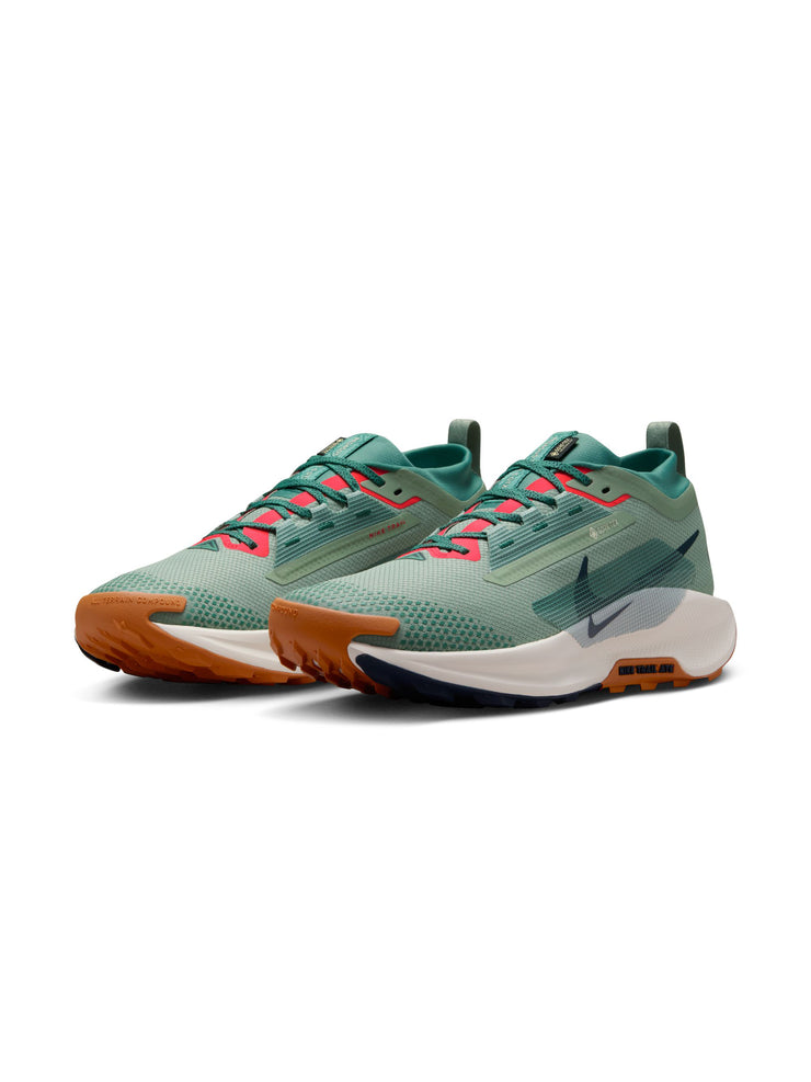 Nike Pegasus Trail 5 GORE-TEX Men's Shoes