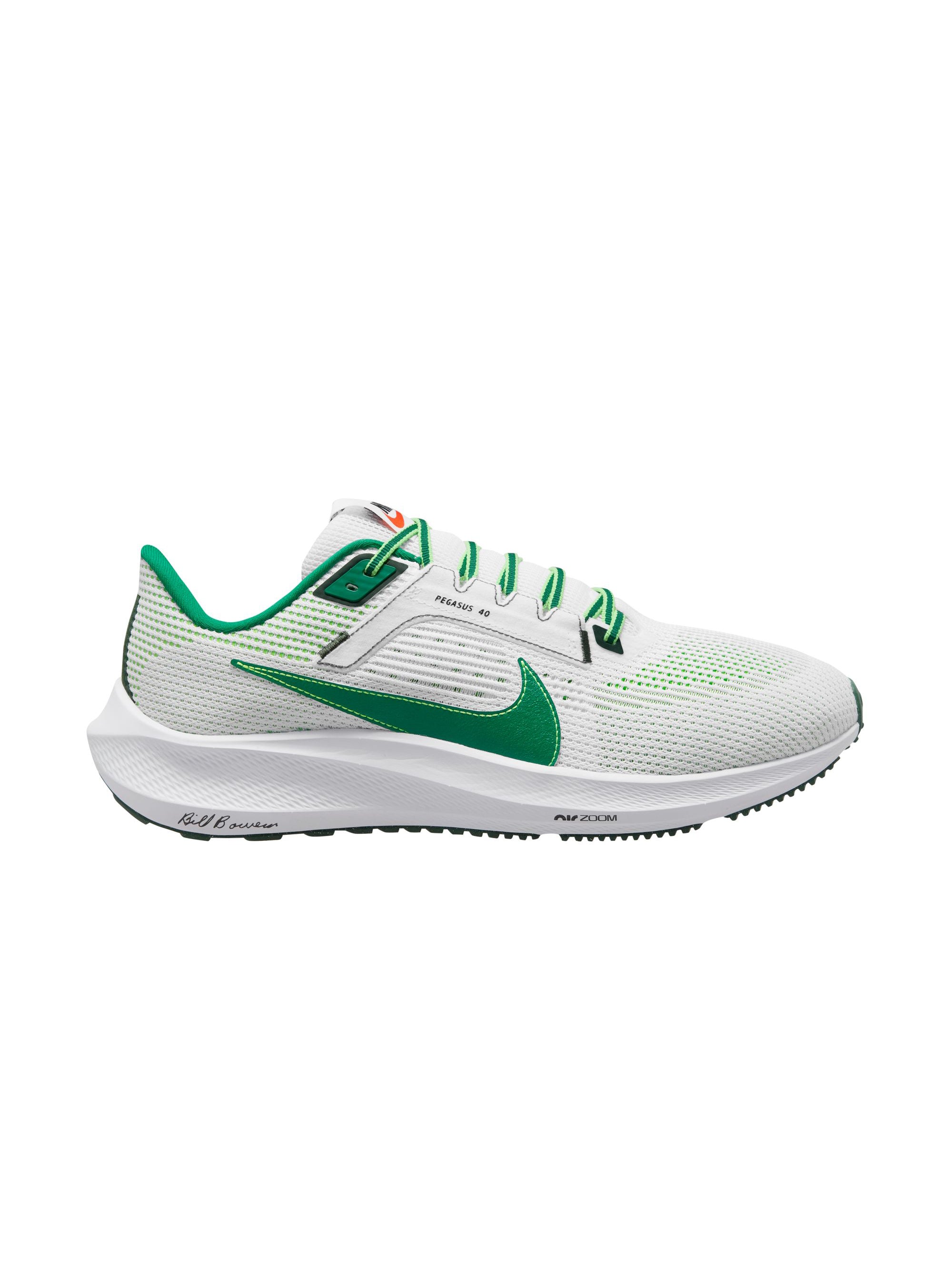 Nike best sale pegasus evolution