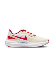 Nike Air Zoom Structure 25 Men's Shoes