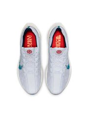 Nike Pegasus Turbo Next Nature Men's Shoe